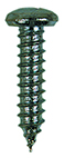 Kentekenplaatschroef 4,8 x 19mm