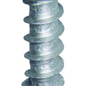 Kentekenplaatschroef 4,8 x 19mm